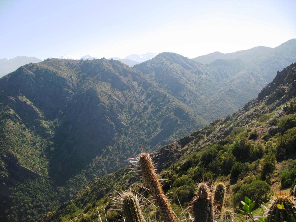 Foto de El Arrayán, Chile