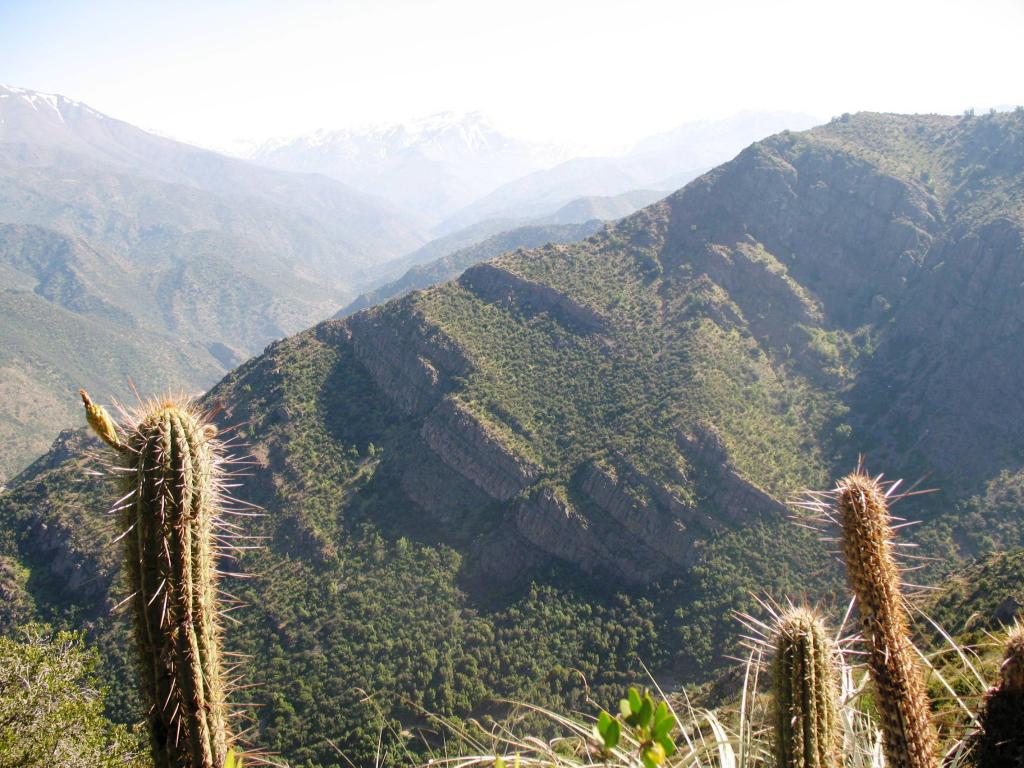 Foto de El Arrayán, Chile