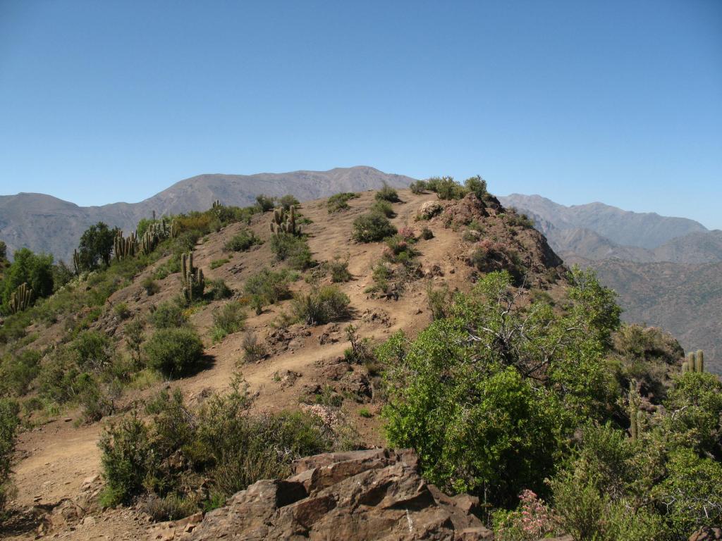 Foto de El Arrayán, Chile