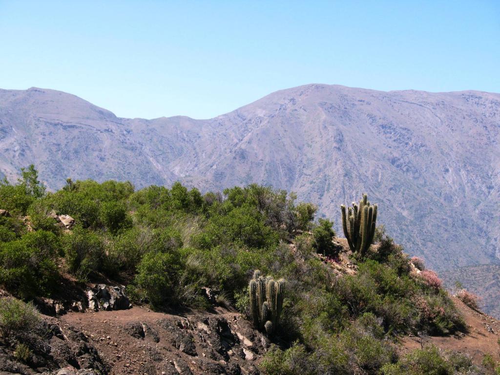 Foto de El Arrayán, Chile