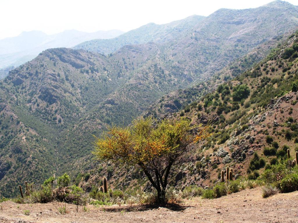 Foto de El Arrayán, Chile