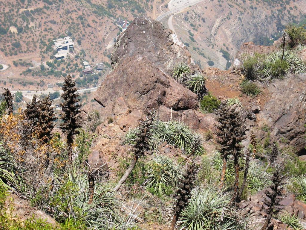 Foto de El Arrayán, Chile