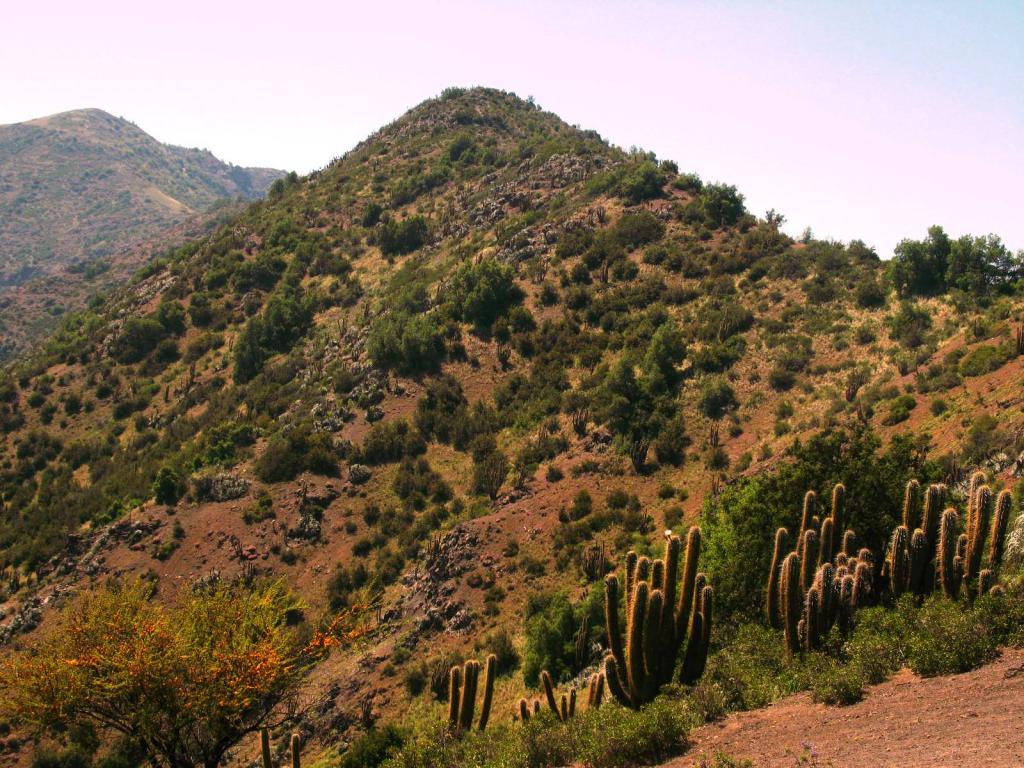 Foto de El Arrayán, Chile