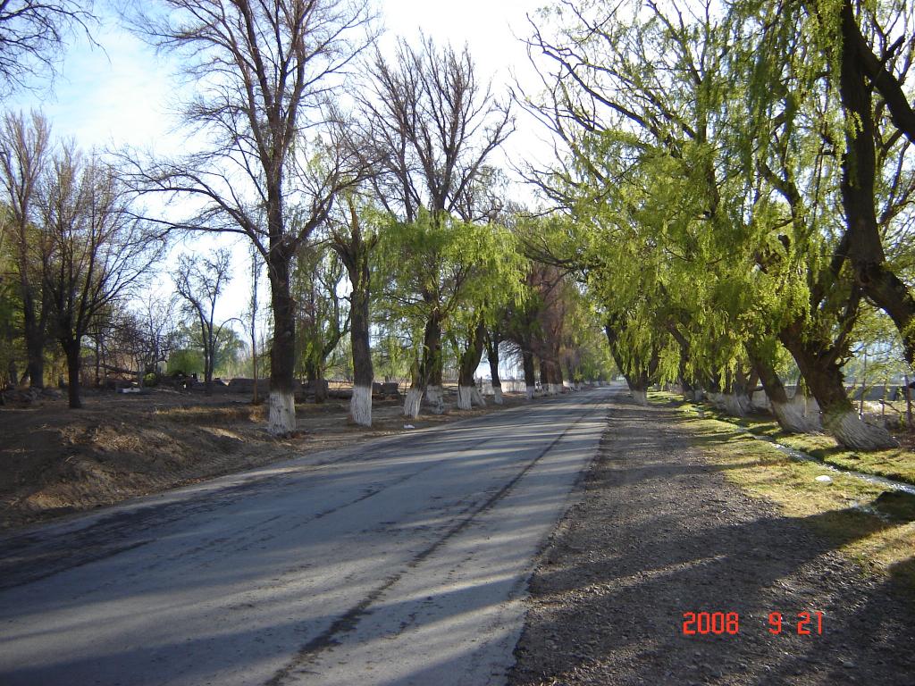 Foto de Iglesia (San Juan), Argentina