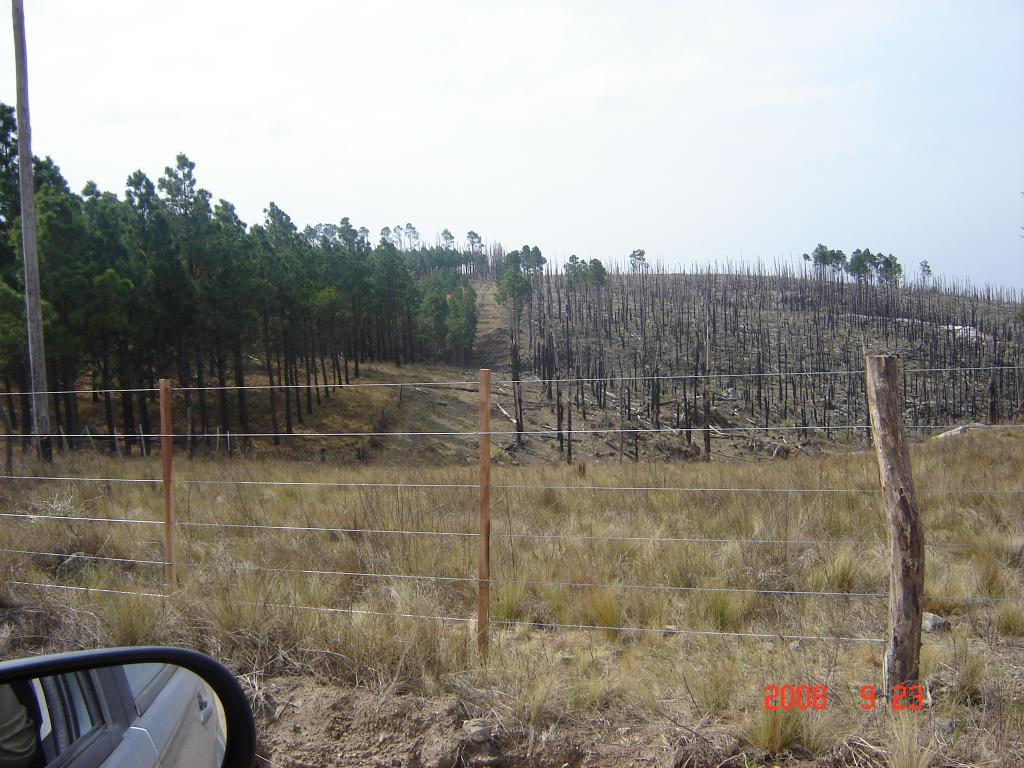 Foto de La Cumbrecita (Córdoba), Argentina