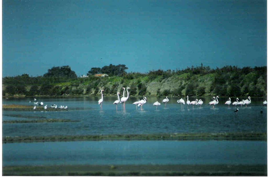 Foto de Cádiz (Andalucía), España