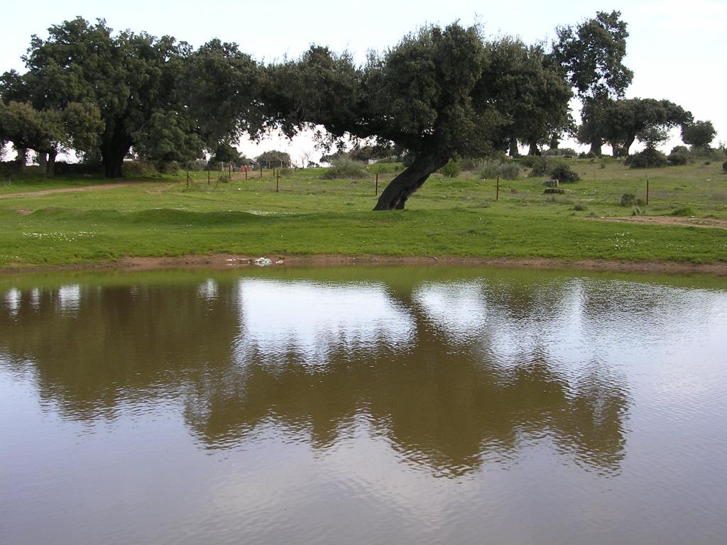 Foto de Montehermoso (Cáceres), España