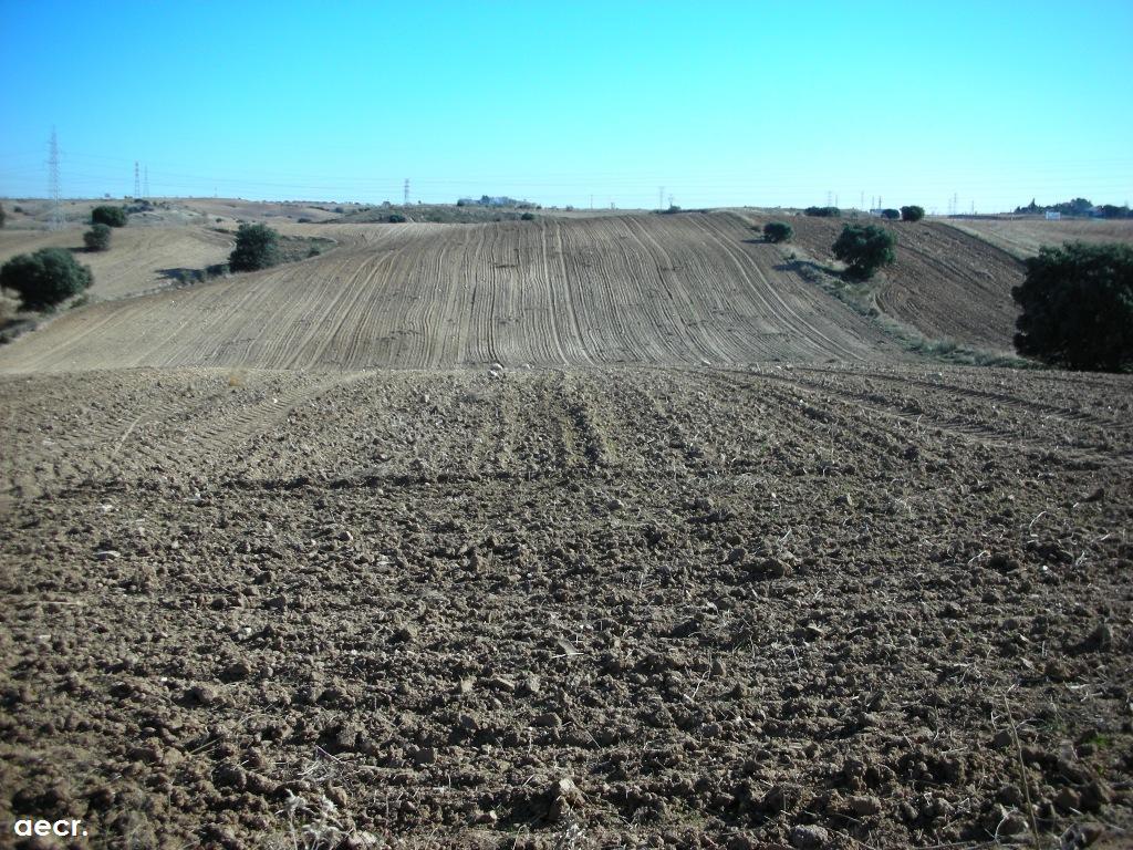 Foto de Majadahonda (Madrid), España