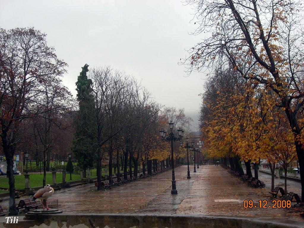 Foto de Oviedo (Asturias), España