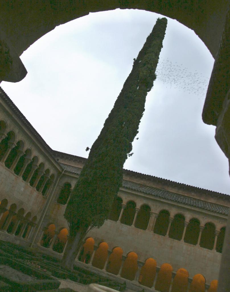 Foto de Santo Domingo de Silos (Burgos), España