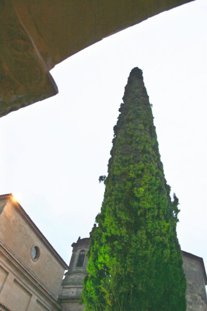 Foto de Santo Domingo de Silos (Burgos), España