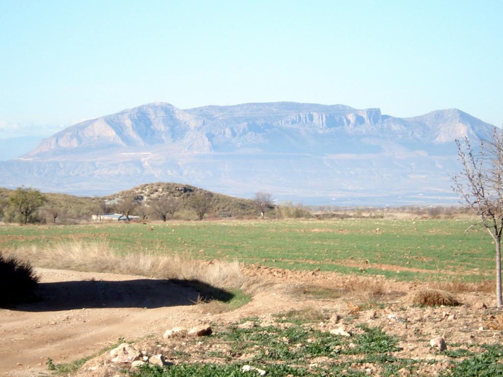 Foto de La Jamula (Granada), España