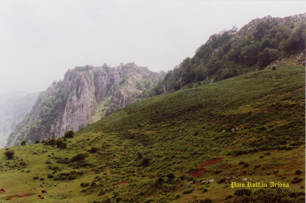 Foto de Cangas de Onís (Asturias), España