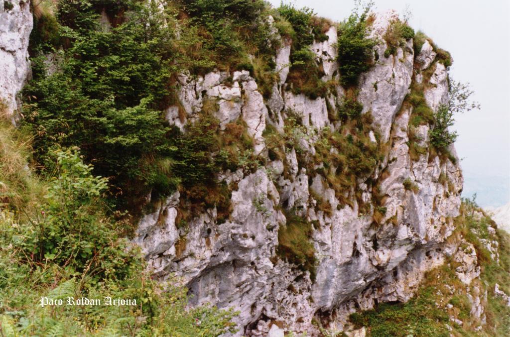 Foto de Cangas de Onís (Asturias), España