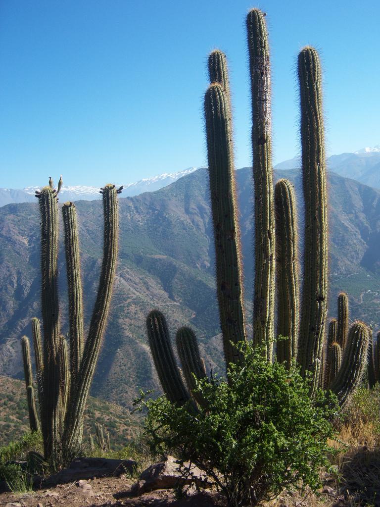 Foto de Lo Barnechea, Chile