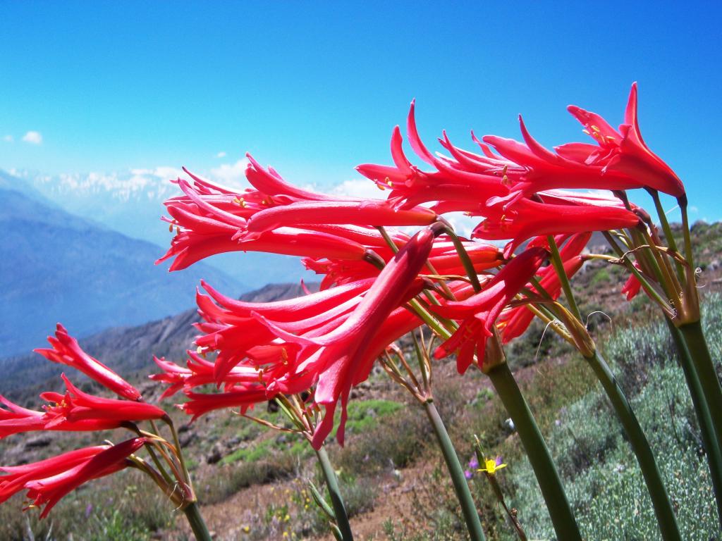 Foto de Lo Barnechea, Chile