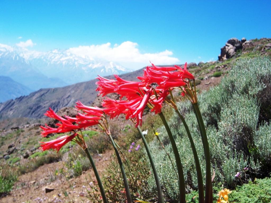 Foto de Lo Barnechea, Chile