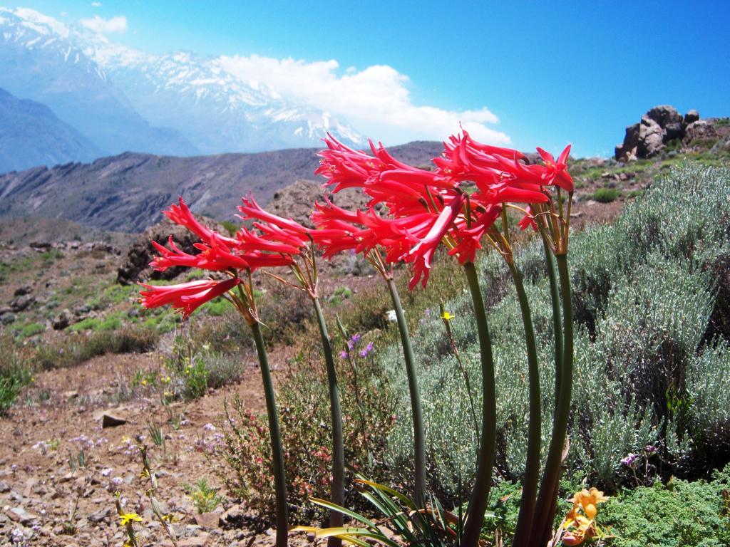 Foto de Lo Barnechea, Chile