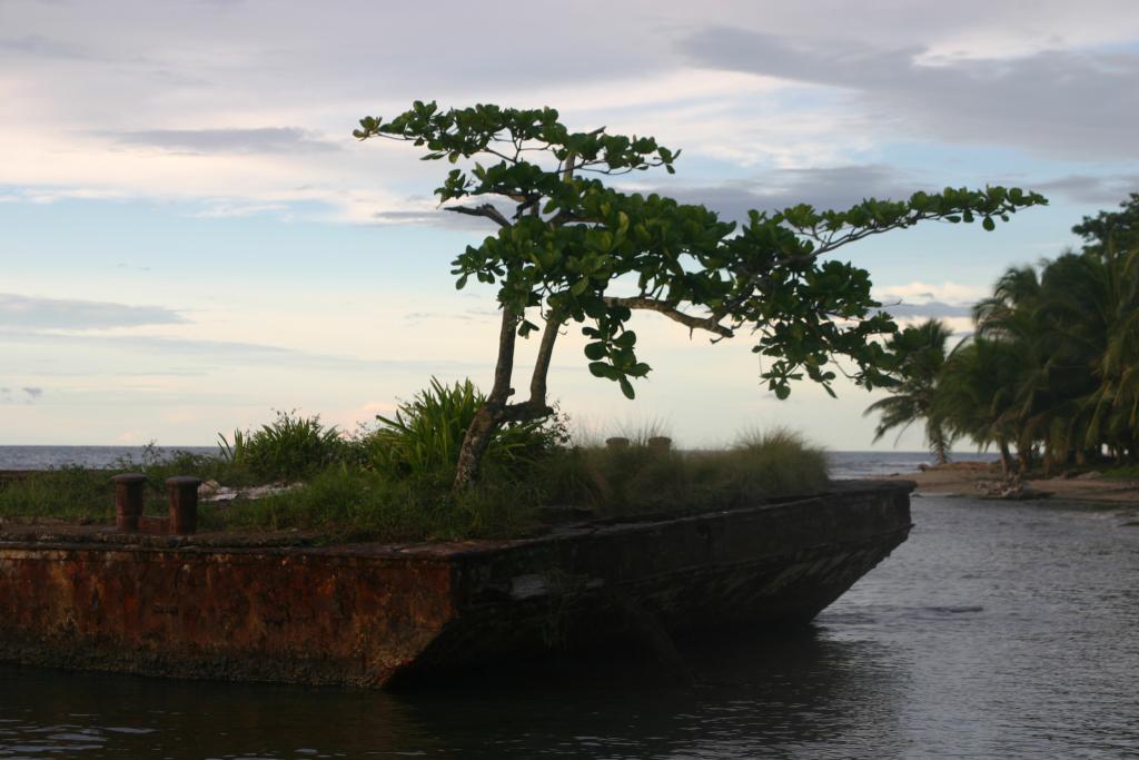 Foto de Puerto Viejo de Talamanca, Costa Rica