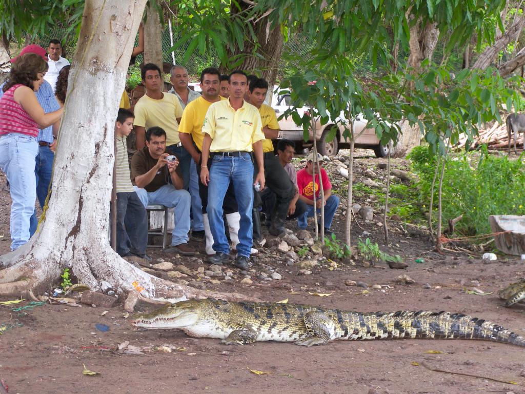 Foto de Tecomán (Colima), México