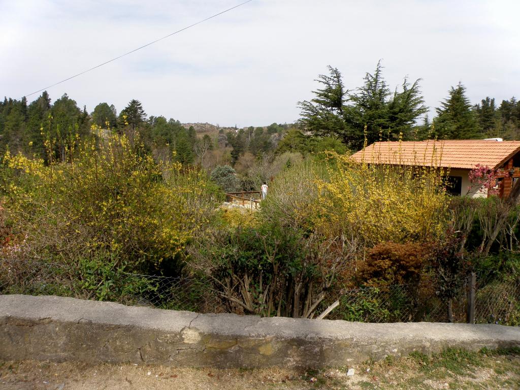 Foto de La Cumbrecita (Córdoba), Argentina