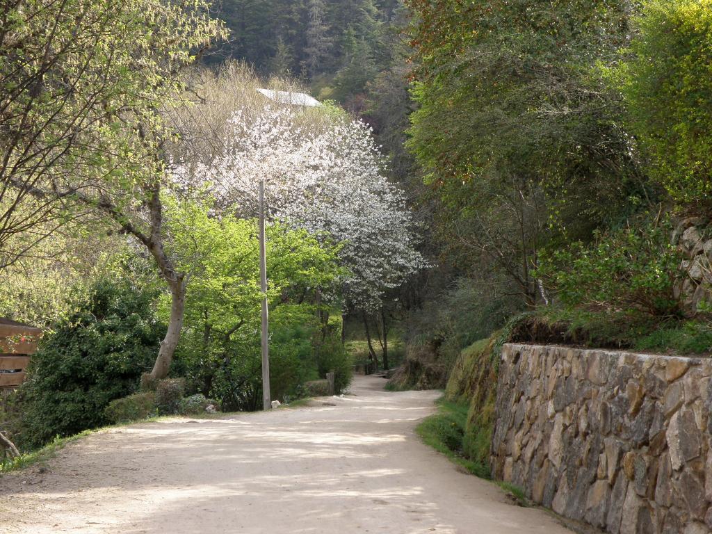 Foto de La Cumbrecita (Córdoba), Argentina