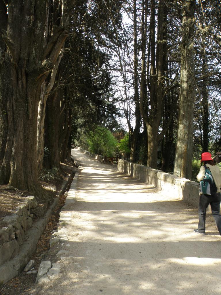 Foto de La Cumbrecita (Córdoba), Argentina