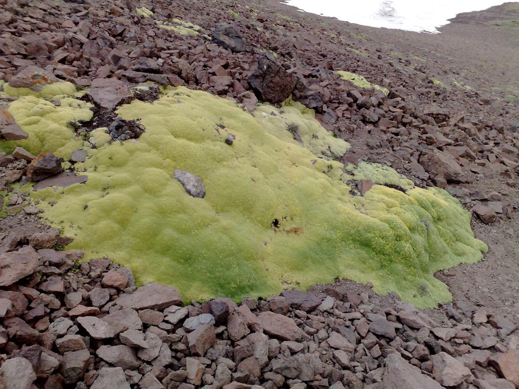 Foto de La Parva, Chile