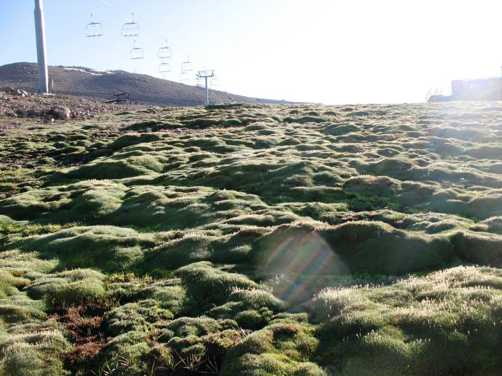 Foto de La Parva, Chile