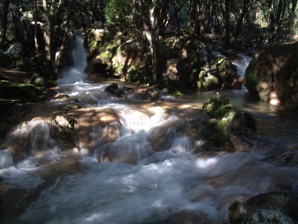 Foto de Buñola (Illes Balears), España