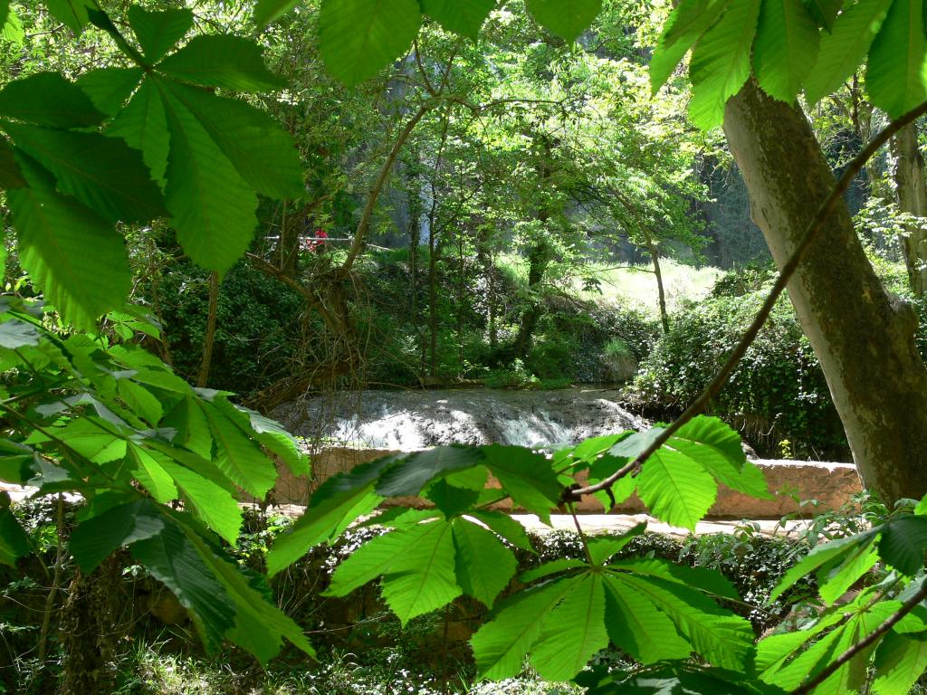 Foto de Monasterio de Piedra (Guadalajara), España