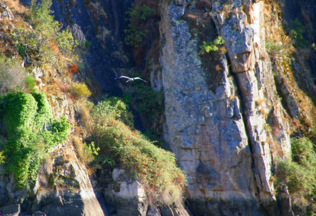 Foto de Miranda do Douro, Portugal