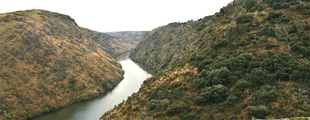 Foto de Pino de Oro (Zamora), España