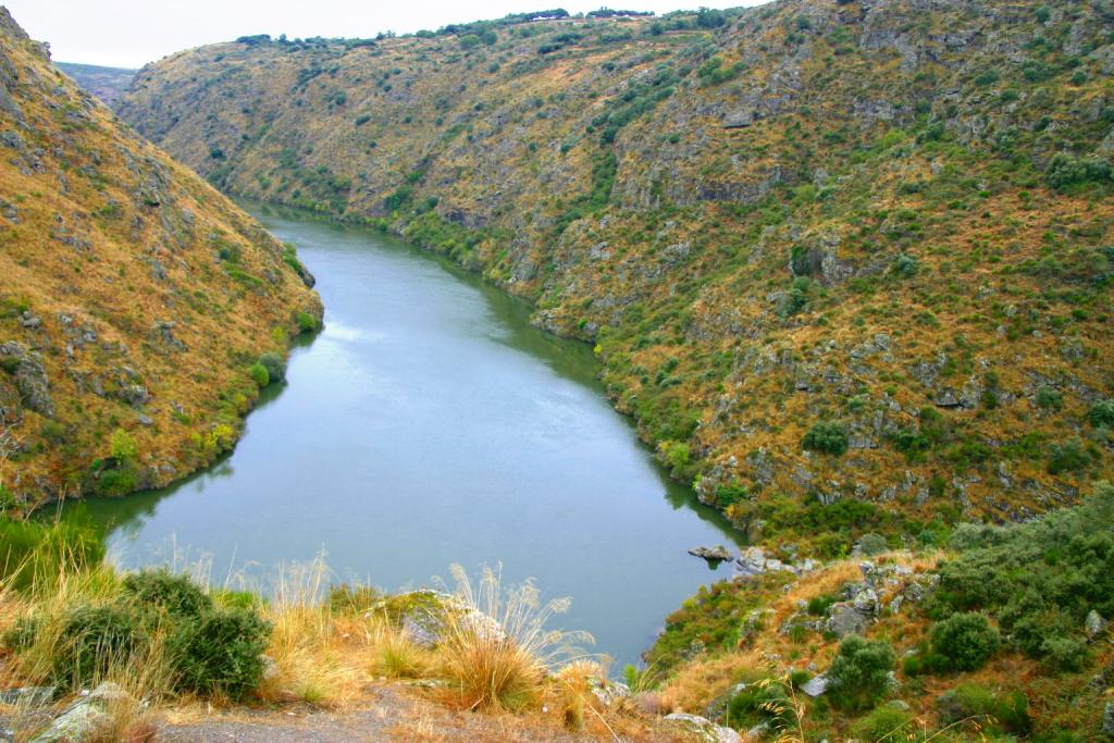 Foto de Pino de Oro (Zamora), España