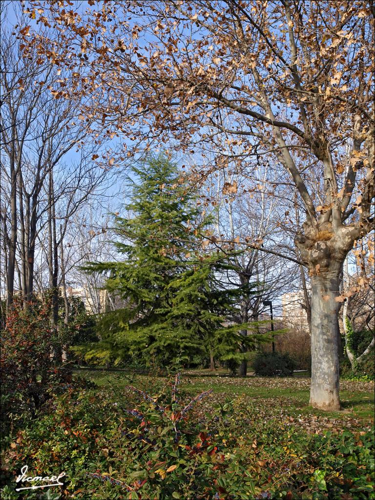 Foto de Zaragoza (Aragón), España