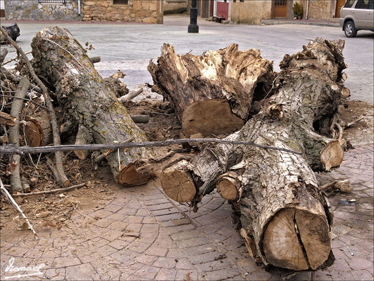 Foto de Alconchel de Ariza (Zaragoza), España