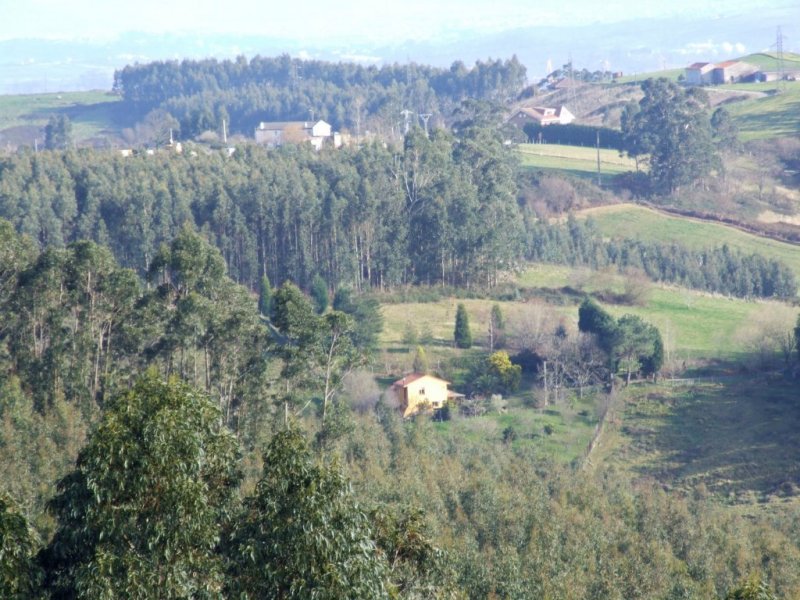 Foto de Parbayon (Cantabria), España