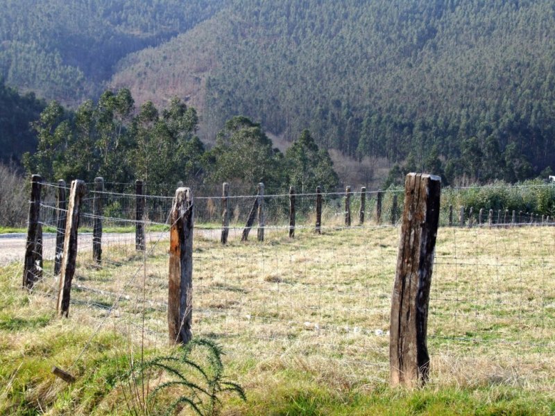 Foto de Riosapero (Cantabria), España