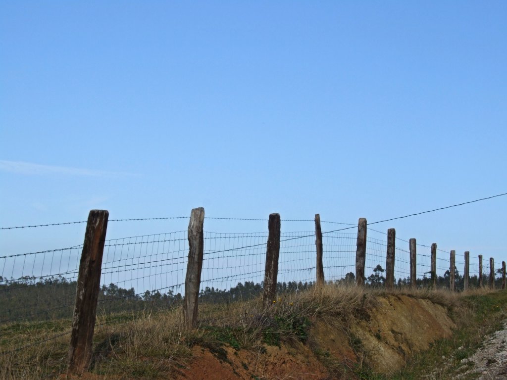 Foto de Riosapero (Cantabria), España