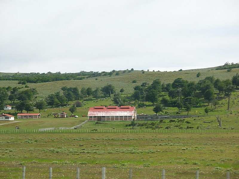 Foto de Puerto Natales, Chile