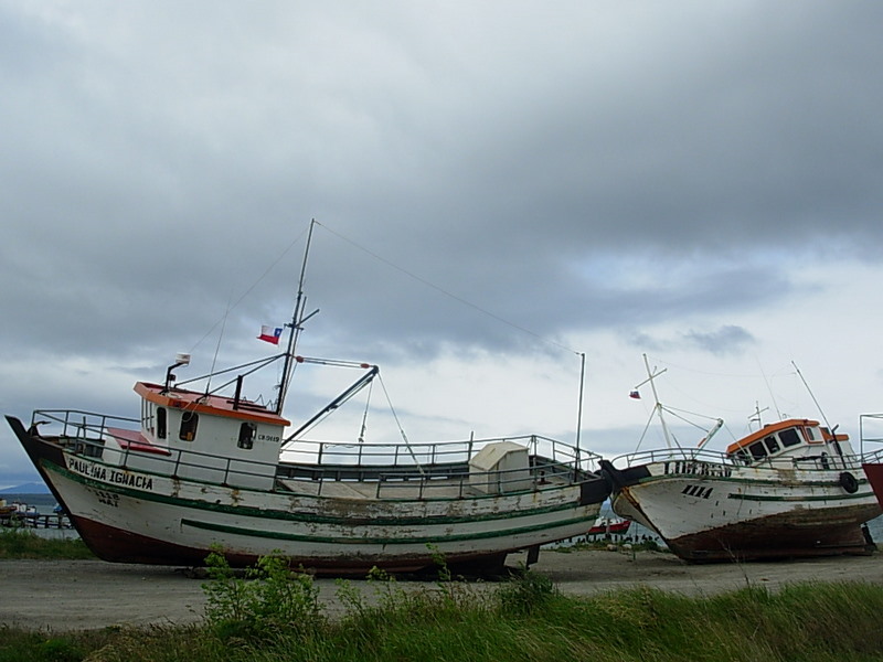 Foto de Puerto Natales, Chile