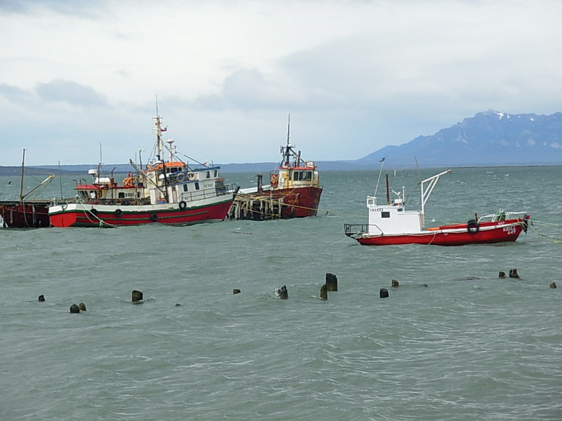 Foto de Puerto Natales, Chile