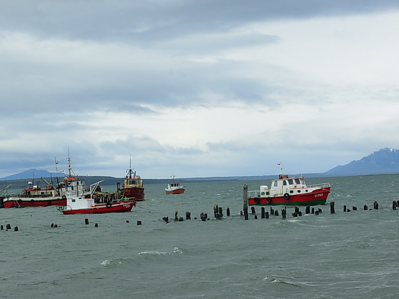 Foto de Puerto Natales, Chile