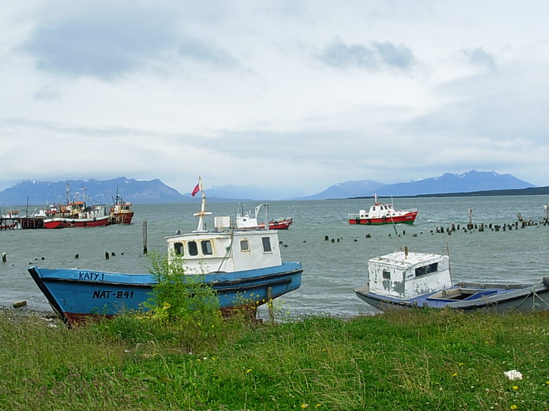 Foto de Puerto Natales, Chile