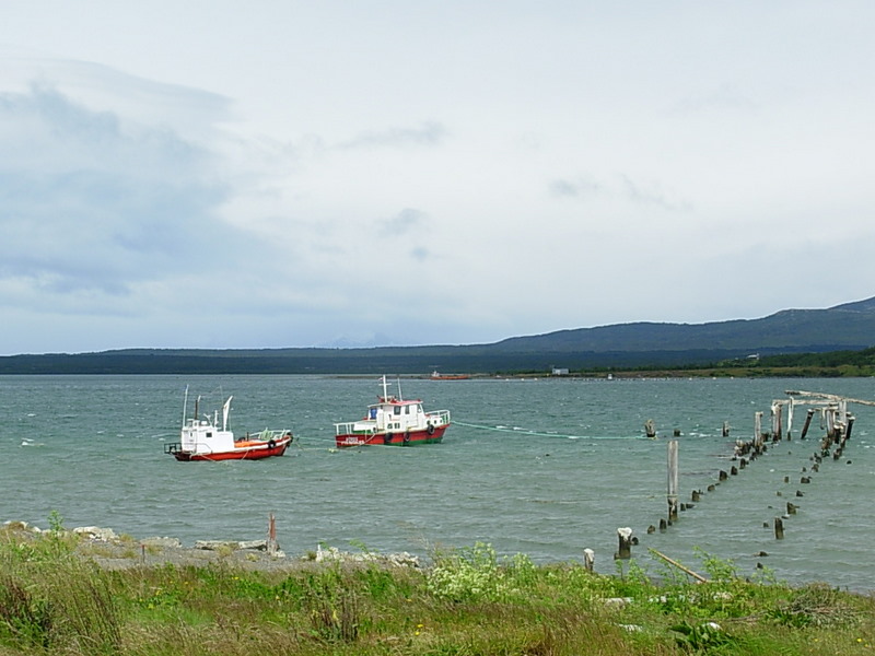 Foto de Puerto Natales, Chile