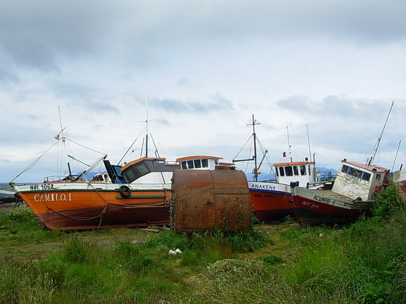 Foto de Puerto Natales, Chile