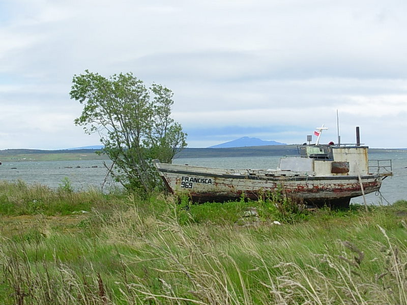 Foto de Puerto Natales, Chile