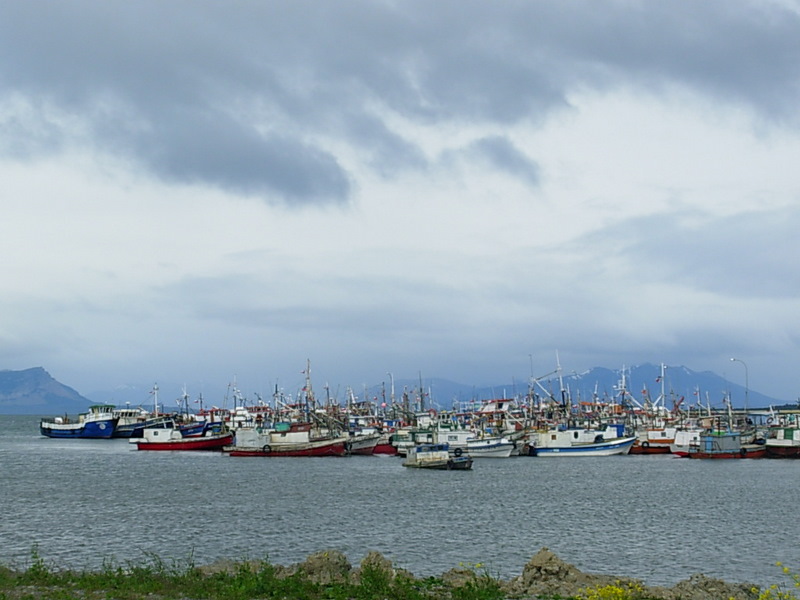 Foto de Puerto Natales, Chile