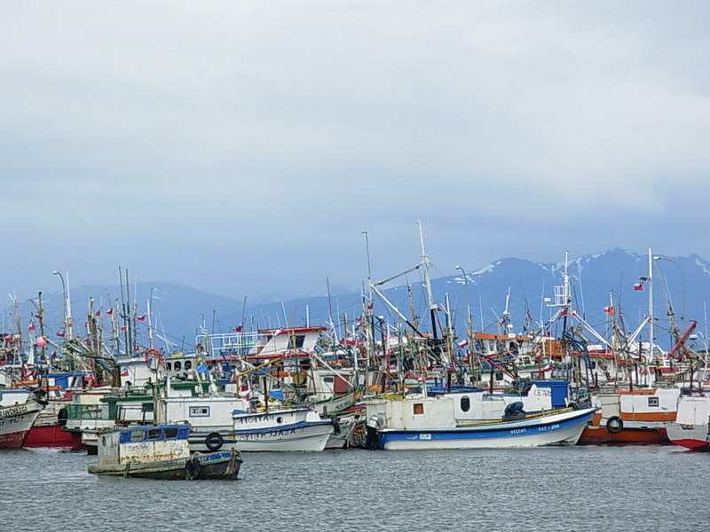 Foto de Puerto Natales, Chile