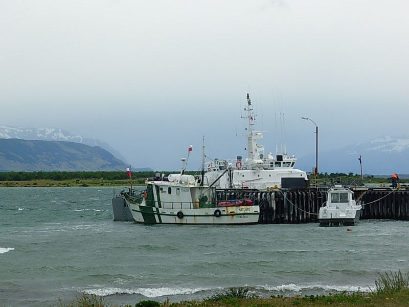 Foto de Puerto Natales, Chile